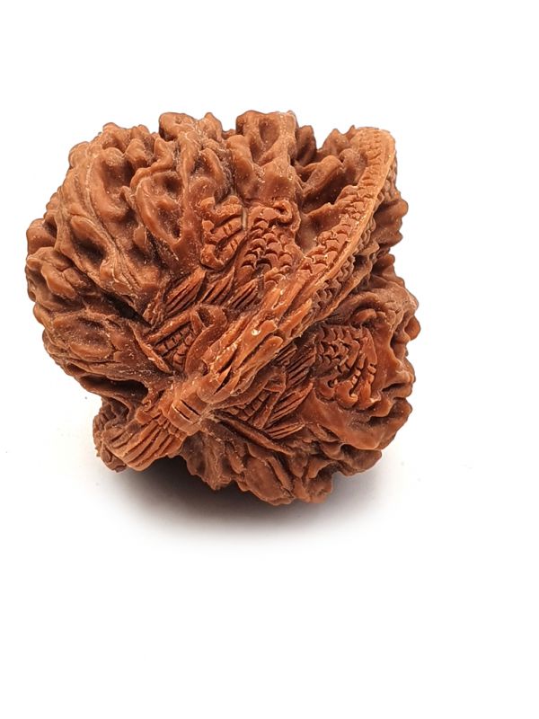 Chinese Carved Walnut - The Dragon 3