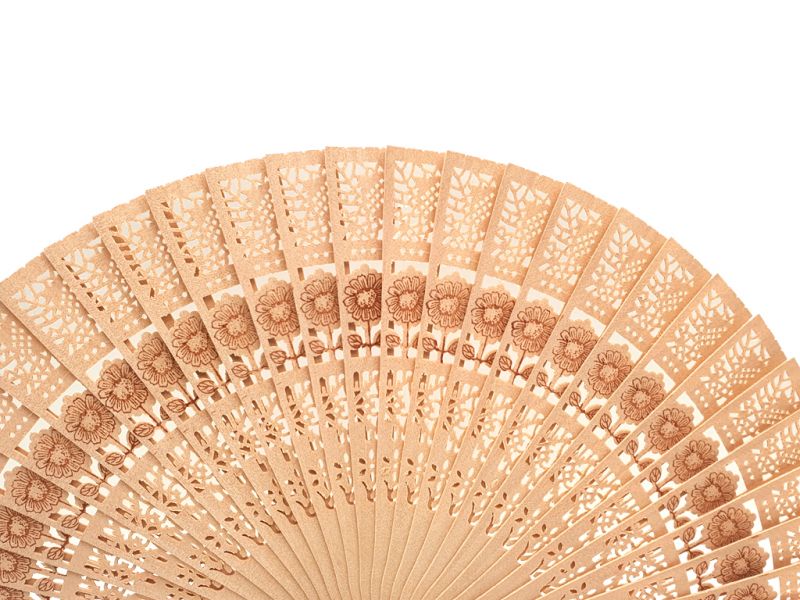 Chinese Hand fan Cheap 2