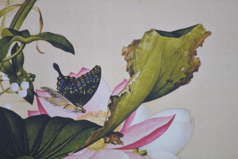 Chinese Paintings to Frame - Butterflies 3
