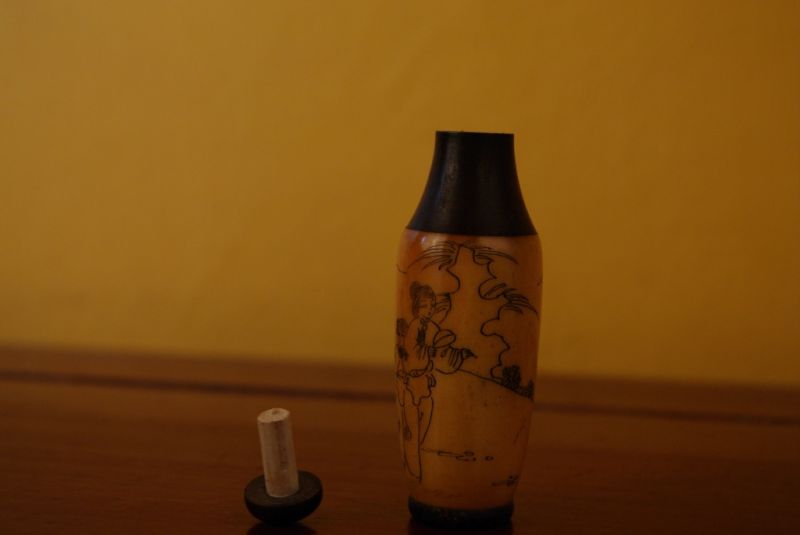 Chinese Snuff Bottle in Bone 5