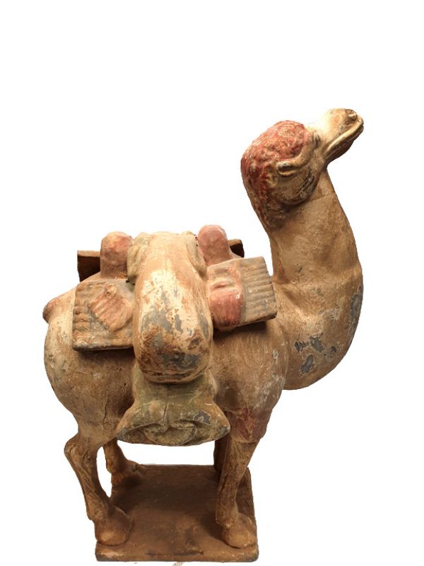 Chinese Terracotta Statue Very large Camel 21