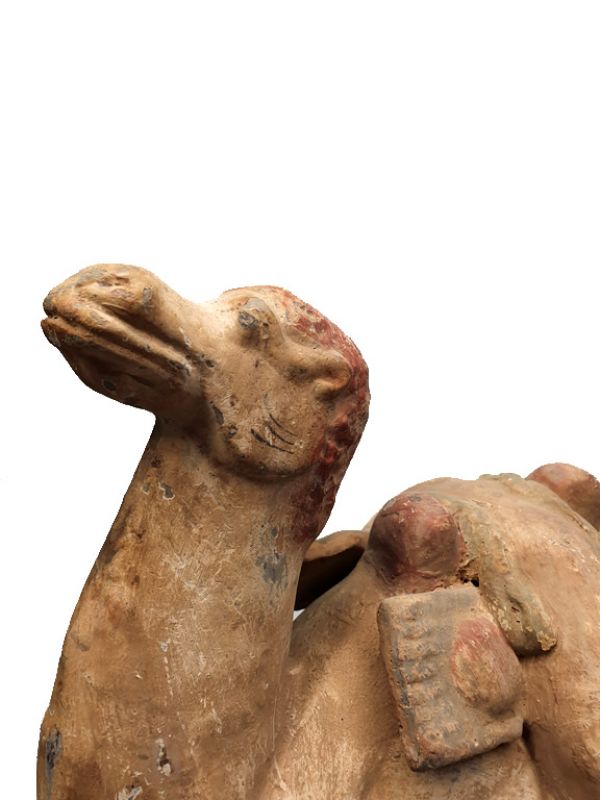 Chinese Terracotta Statue Very large Camel 22