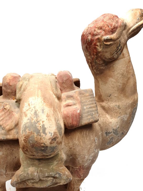 Chinese Terracotta Statue Very large Camel 24