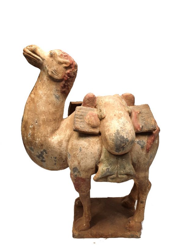Chinese Terracotta Statue Very large Camel 25
