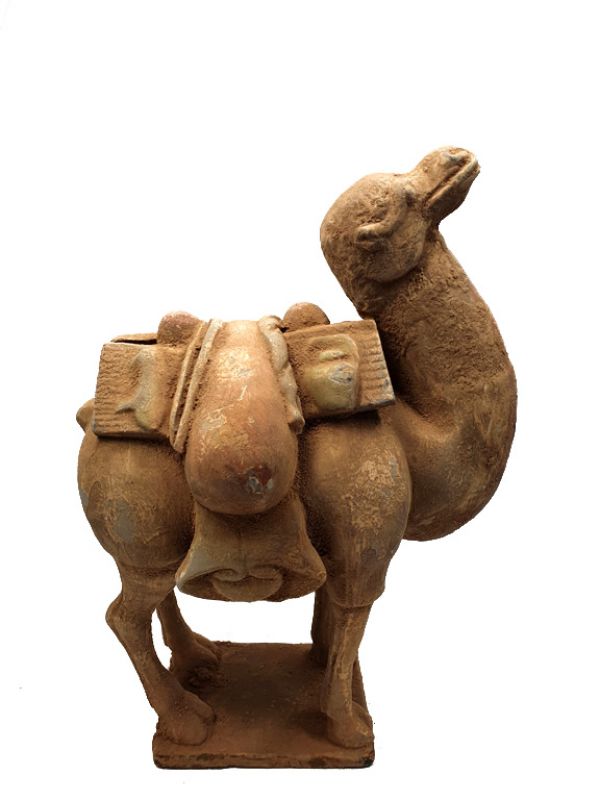 Chinese Terracotta Statue Very large Camel 1