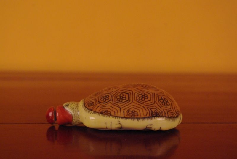 Chinese turtle snuff boxes 2