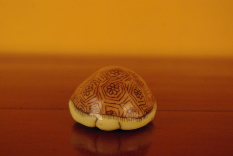 Chinese turtle snuff boxes 3