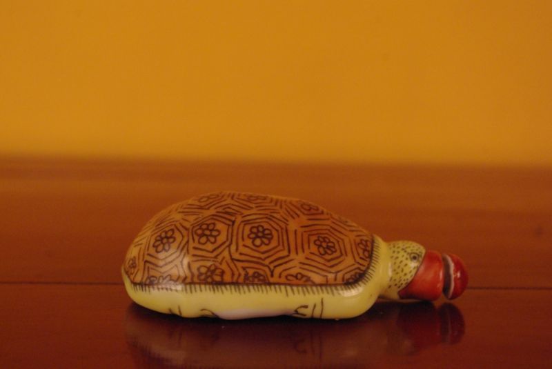 Chinese turtle snuff boxes 4