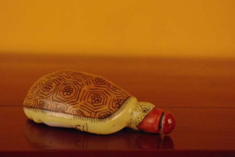 Chinese turtle snuff boxes 5