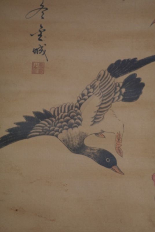 Chinesische Gemälde Kakemono 3 Enten 4