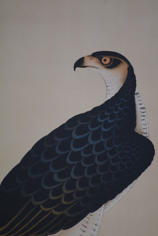 Chinesische Gemälde Kakemono Adler 4