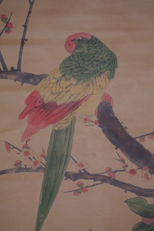 Chinesische Gemälde Kakemono Papagei 2