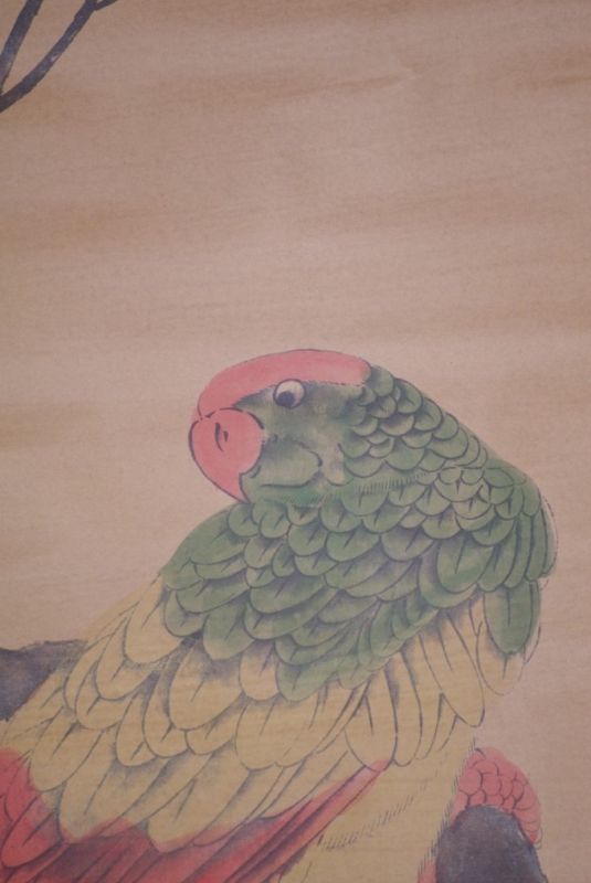 Chinesische Gemälde Kakemono Papagei 5