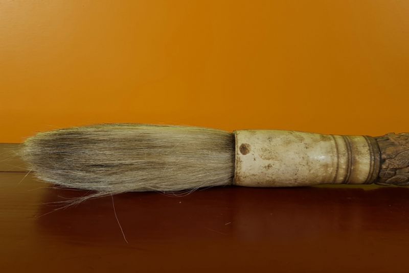 Chinesische Knochenbürsten - Gravierter Fisch 2