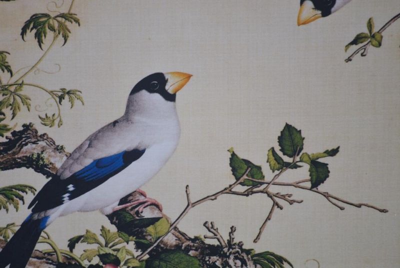 Chinesische Malerei zu Rahmen 2 große Vögel 3