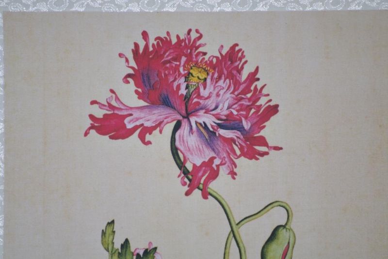Chinesische Malerei zu Rahmen - Rot und rosa Pfingstrose 2