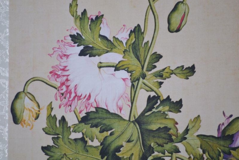 Chinesische Malerei zu Rahmen - Rot und rosa Pfingstrose 3