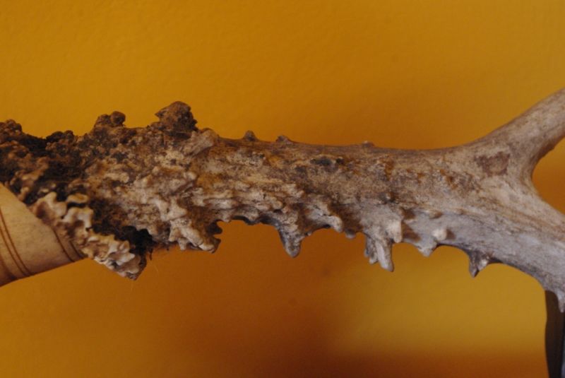 Chinesische Pinsel Aus Hirsch 4