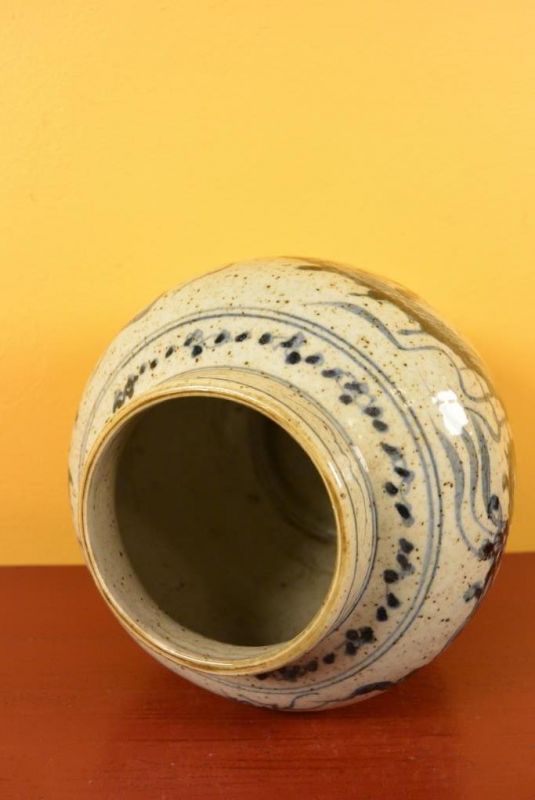 Chinesische Porzellan Töpfe Dragon 5