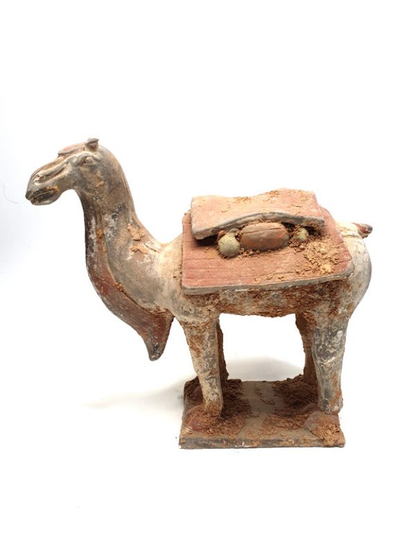 Chinesische Terra Cotta Statue Kamel 2 2