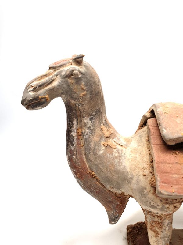 Chinesische Terra Cotta Statue Kamel 2 3
