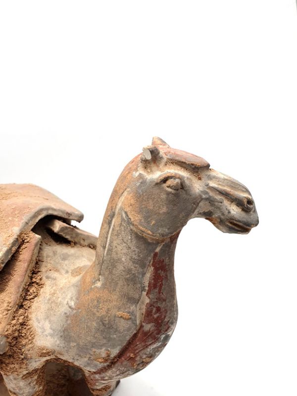 Chinesische Terra Cotta Statue Kamel 2 5