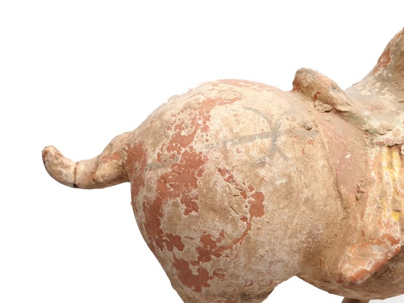 Chinesische Terrakotta Statue Großes restauriertes Pferd 2
