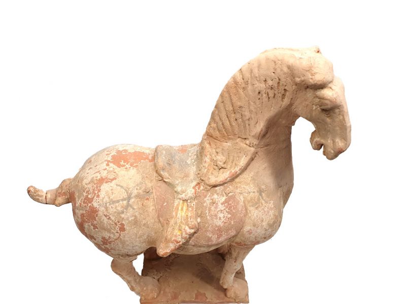 Chinesische Terrakotta Statue Großes restauriertes Pferd 3