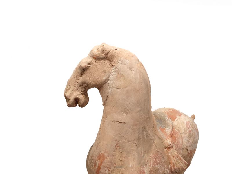 Chinesische Terrakotta Statue Großes restauriertes Pferd 5