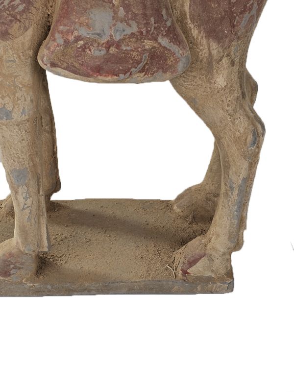 Chinesische Terrakotta Statue Sehr großes Kamel 4