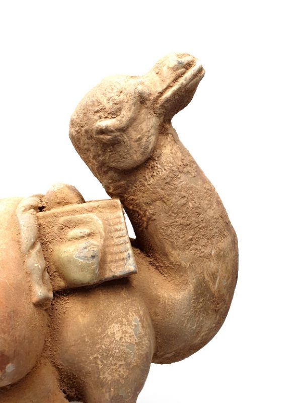 Chinesische Terrakotta Statue Sehr großes Kamel 2