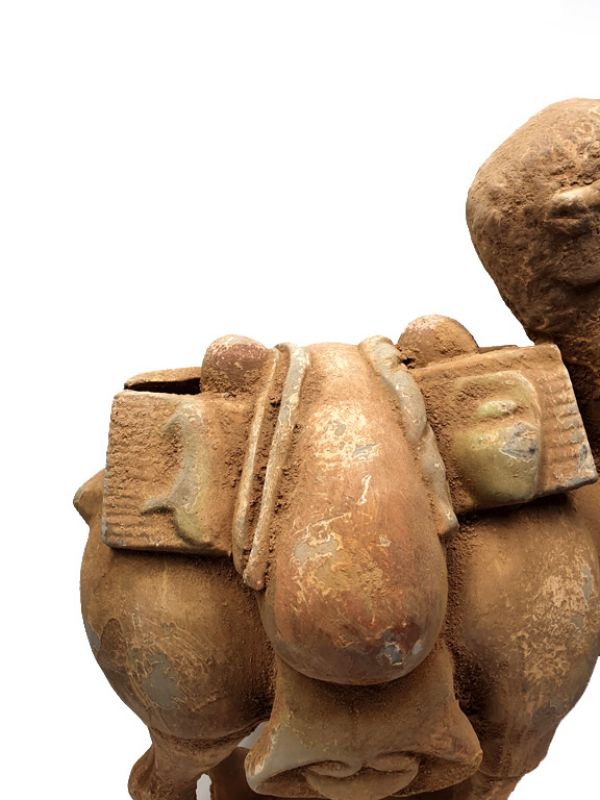 Chinesische Terrakotta Statue Sehr großes Kamel 3