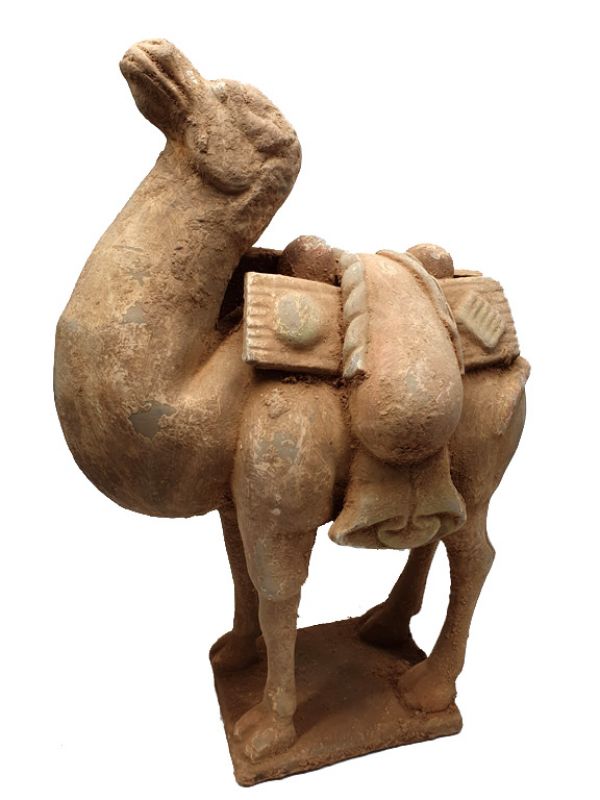 Chinesische Terrakotta Statue Sehr großes Kamel 4