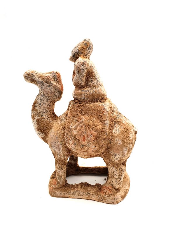 Chinesische Terrakotta Statue Tang Kamel 3