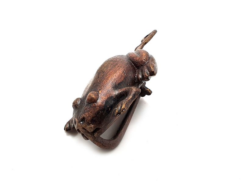 Chinesische Vorhängeschloss Frosch 2