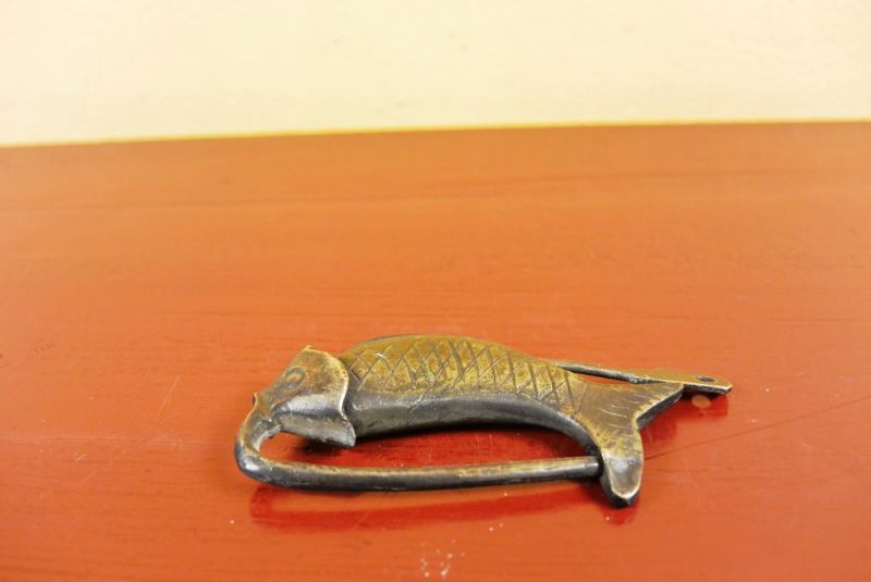 Chinesische Vorhängeschloss Kleine Fische 2