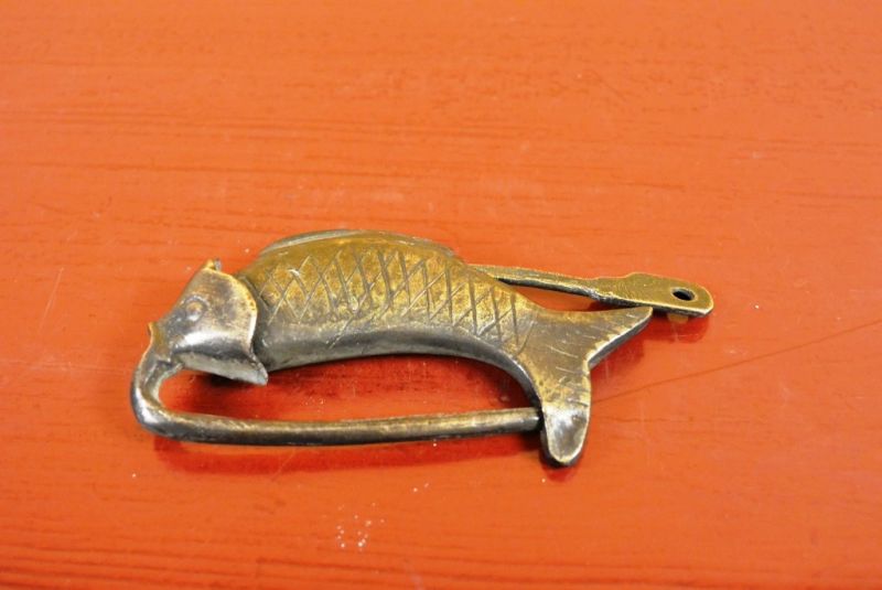 Chinesische Vorhängeschloss Kleine Fische 3