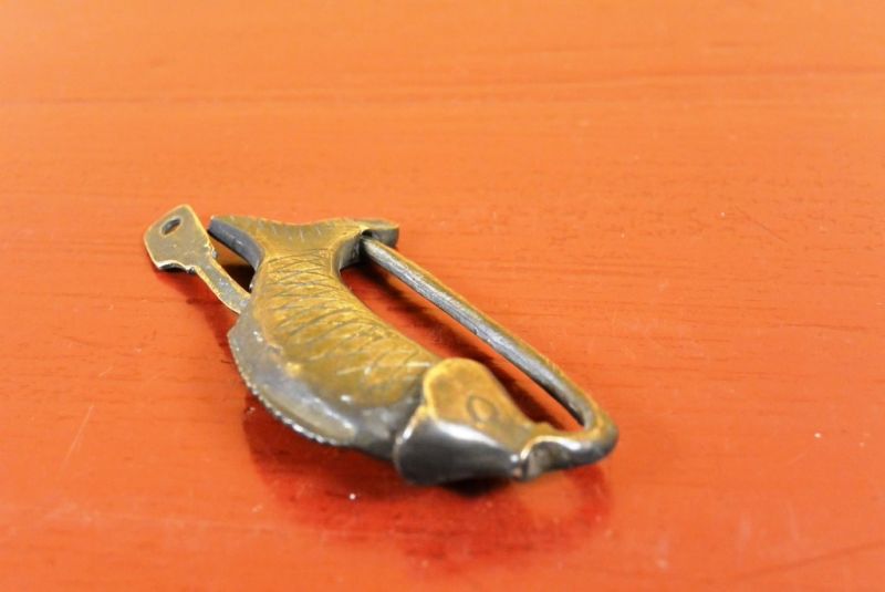 Chinesische Vorhängeschloss Kleine Fische 4