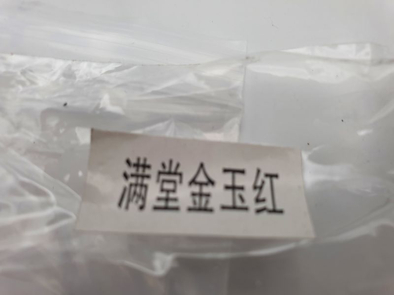 Chinesische Vorhängeschloss Sperrcode 5