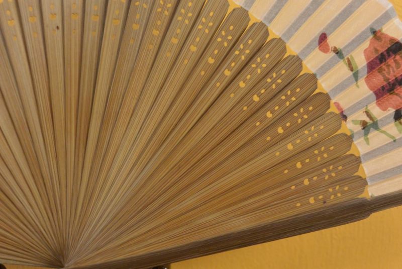 Chinesischen Fächer 3
