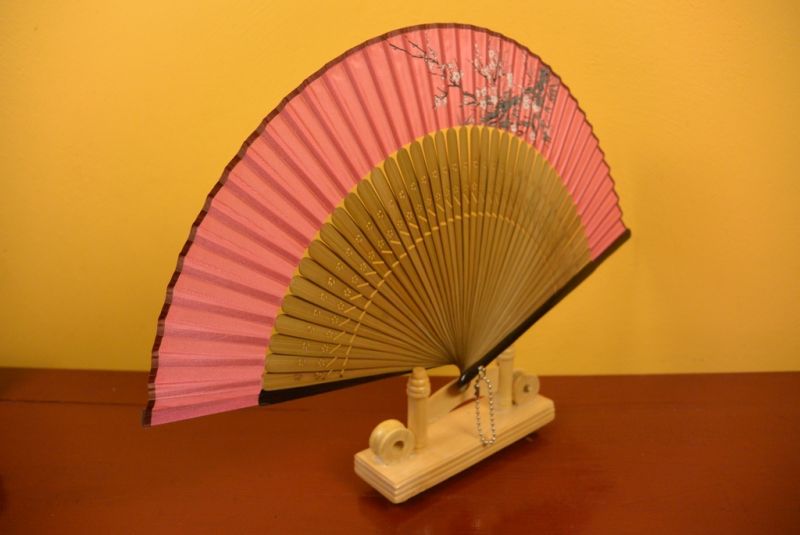 Chinesisches Gebläse 5