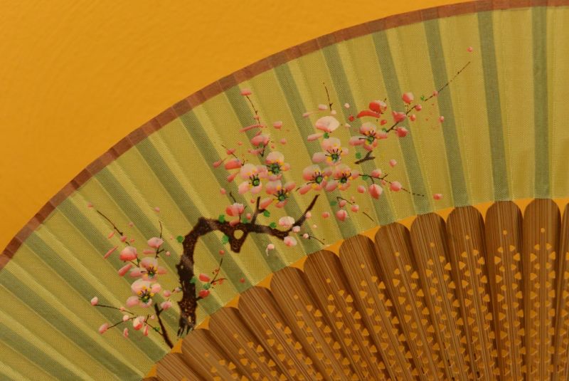 Chinesisches Gebläse Japanische Kirsche 2 2