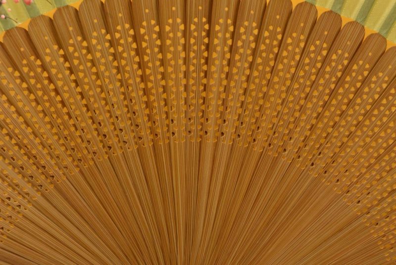 Chinesisches Gebläse Japanische Kirsche 2 3