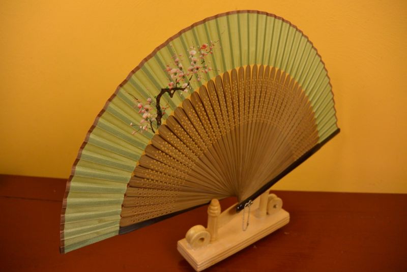 Chinesisches Gebläse Japanische Kirsche 2 5