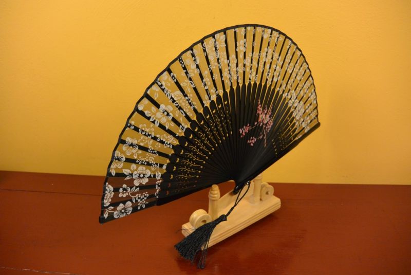 Chinesisches Gebläse Schwarz 5