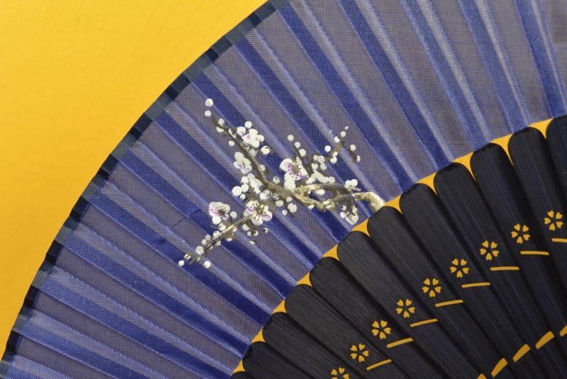 Chinesisches Gebläse Schwarz und blau 2