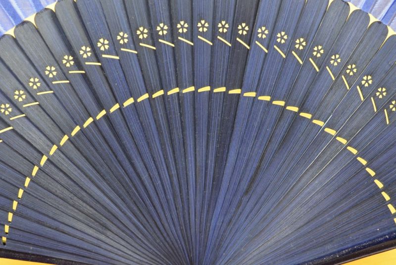 Chinesisches Gebläse Schwarz und blau 4