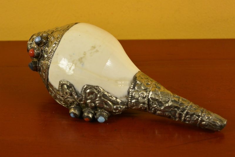 concha tibetana Shankha 1