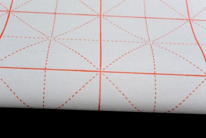 Conjunto de papel de arroz para caligrafía - 70x34cm 5