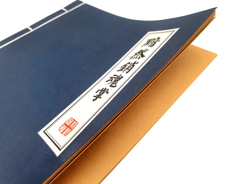 Cuaderno para caligrafía - Hoja de arroz y bambú - Tamaño A4 3